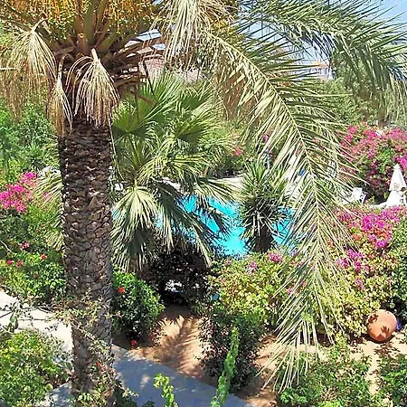 Irini Livadia (Tilos)