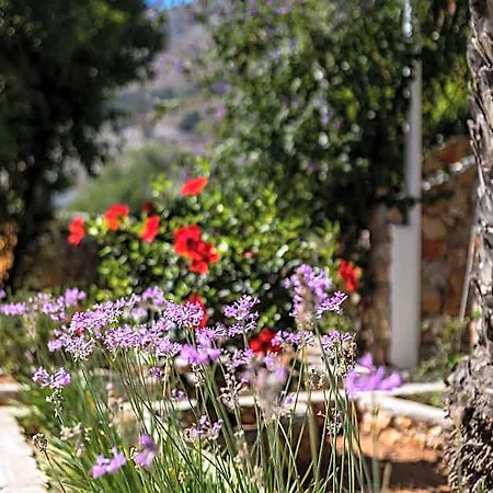 Irini 호텔 Livadia (Tilos)